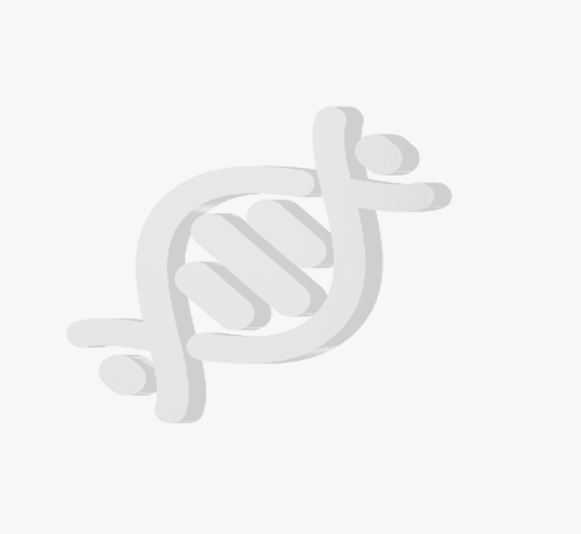 Molecular Biology & Vector Engineering